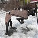 Скульптура «Собирающий камни» в городе Москва