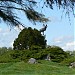 Beaumont-Hamel Newfoundland Memorial