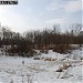 Заболоченный пруд в городе Москва