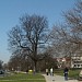 Park Młynówka Królewska in Kraków city