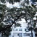 Edifício Scientia (pt) in São Paulo city