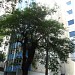 Edifício Rio Center (pt) in São Paulo city