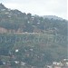 Lady Young Look Out in Port-of-Spain city