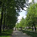 Бульвар на ул. Звездинка в городе Нижний Новгород