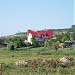 Brutaria Carpineni în Cărpineni oraş