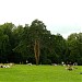 Большая дворцовая поляна в городе Москва