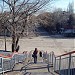 Pasarelă în Municipiul Tighina oraş