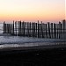 Государственная граница между США и Мексикой - памятник (ru) en la ciudad de Tijuana