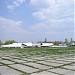 Ту-22М3 в городе Киев