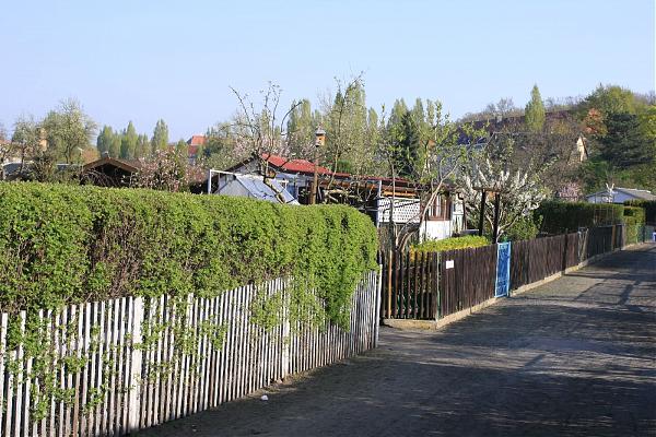 KGV Rudolphia e. V. Dresden