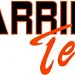 Barriertech - Fencing and Alarms in Harare city