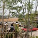 Tea house in Tokyo city