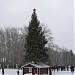 Площадь Металлургов в городе Череповец