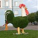 Петух в городе Череповец