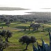 Flamingo Golf Course (Monastir)