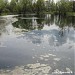 Щербинские (Милицейские) пруды в городе Москва