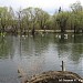 Щербинские (Милицейские) пруды в городе Москва