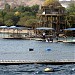 Dolphin Reef in Eilat city