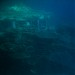 Underwater observatory in Eilat city