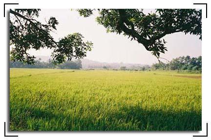 Kumbidi Discover and share the best gifs on tenor. wikimapia