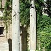 Columnas Romanas en la ciudad de Sevilla