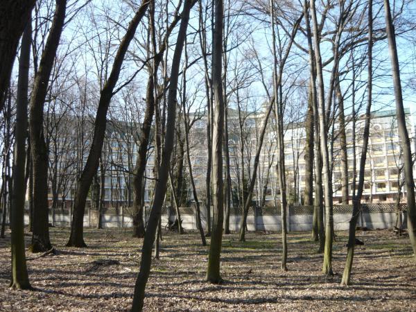 Оригами в россии Оригами в россии