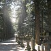 北口本宮冨士浅間神社