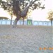 Jaora City Eidgah in Jaora city