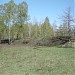 Насыпь не построенной железной дороги в городе Киев