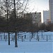 Площадка для выгула собак в городе Москва