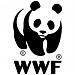 Амурский филиал Всемирного фонда дикой природы (WWF) в городе Владивосток