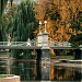 Mini Suspension Bridge in Boston, Massachusetts city