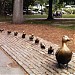 Make Way for Ducklings Statue in Boston, Massachusetts city