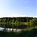 Восточный Полянский (Салтыковский) пруд в городе Москва