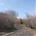 Aina Green Zone in Atsugi city