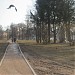 Черневский парк в городе Москва