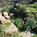 Tomb of giants of Sa Xea 'e Molas