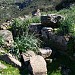 Tomb of giants of Sa Xea 'e Molas