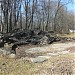 Остатки декоративного пруда в городе Москва