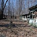 Пожарище деревянных конюшен в городе Москва