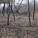 Территория бывшего карантина ВДНХ в городе Москва