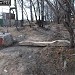 Территория бывшего карантина ВДНХ в городе Москва