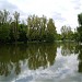 Schlossgartensee (de) in Stuttgart city