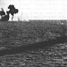 Wreck of USS Gambier Bay (CVE-73)