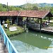 Pesqueiro dos Angicos na São Pedro city