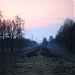 Участок насыпи разобранной Коммунарской железнодорожной ветки в городе Москва