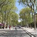 Cours Mirabeau dans la ville de Aix-en-Provence