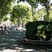 Cours Mirabeau dans la ville de Aix-en-Provence