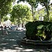 Cours Mirabeau