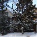 The Three Sisters in Saskatoon city
